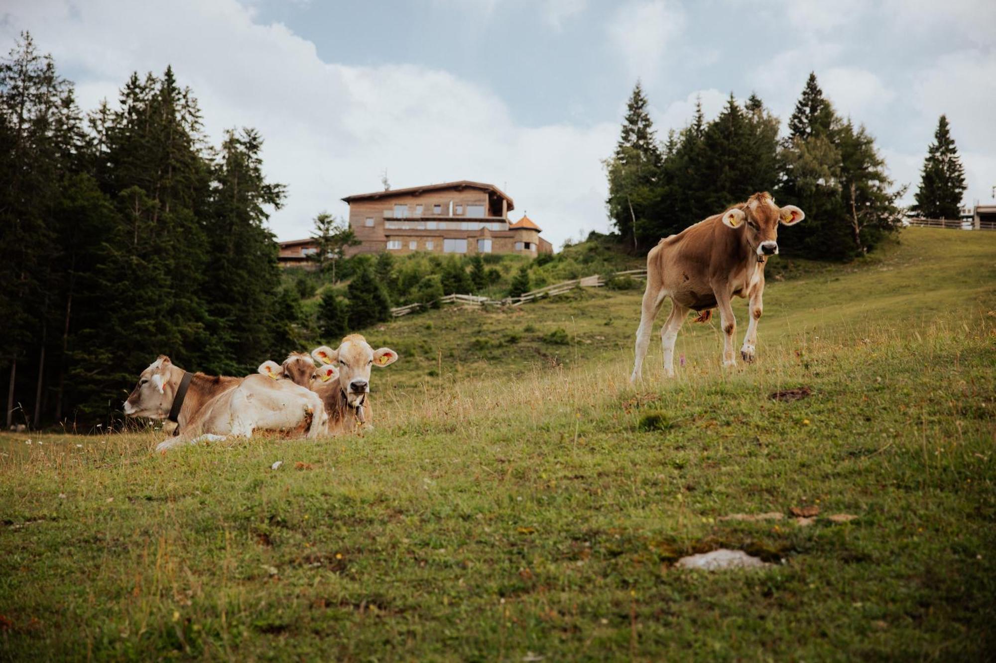Chalet G12 - Mountain Luxury Apartments Seefeld in Tirol Exterior photo